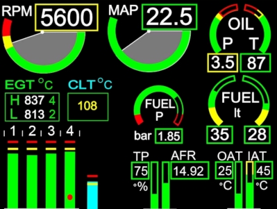 Engine informations: RPM, MAP, Oil pressure, Oil temperature, 4 EGT, 2 CHT, Coolant temperature, Fuel pressure, Throttle position, Air fuel ratio, OAT, IAT